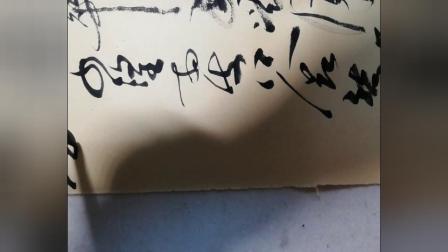 月落乌啼霜满天是什么生肖请全面2释义、解释与落实、全面解答解释落实