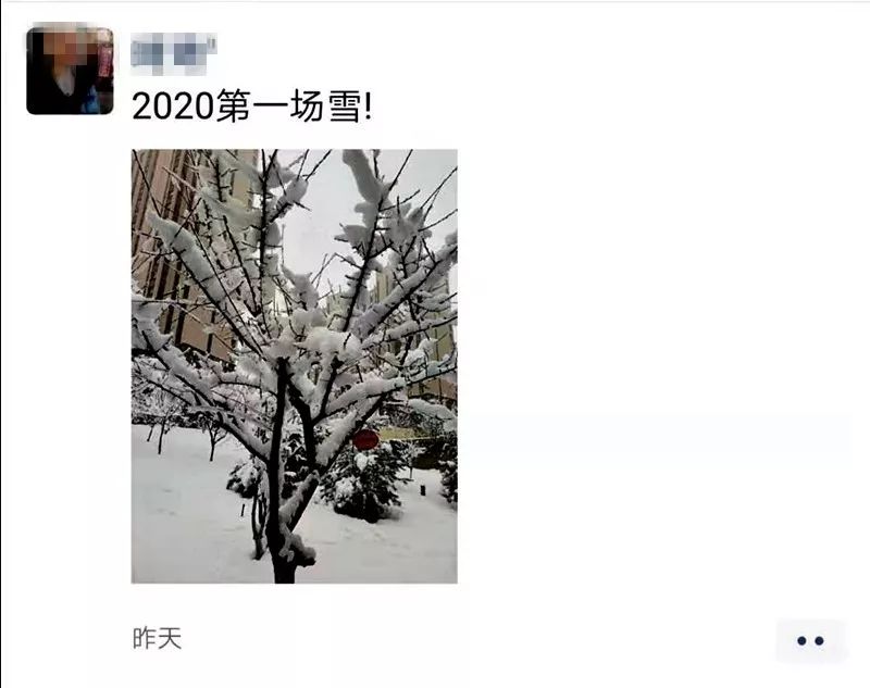 雪岭白牛力深得代表是什么生肖详细解答、解释与落实、实时解答解释落实