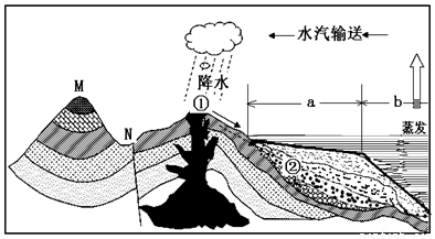 雪岭白牛力深得代表是什么生肖详细解答、解释与落实、实时解答解释落实