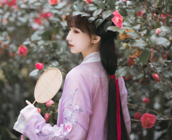 英雄见惯也平常,循循善诱最理想指什么生肖，全面释义、全面解答解释落实